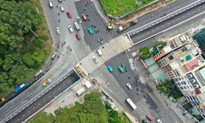 Trồng lại cây xanh ở công viên cửa ngõ Tân Sơn Nhất